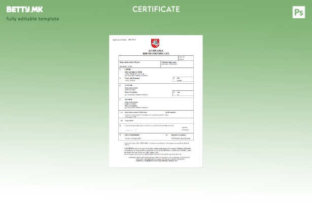 модерен стил Литванија извод од матична книга на родени Шаблон за Word и PDF